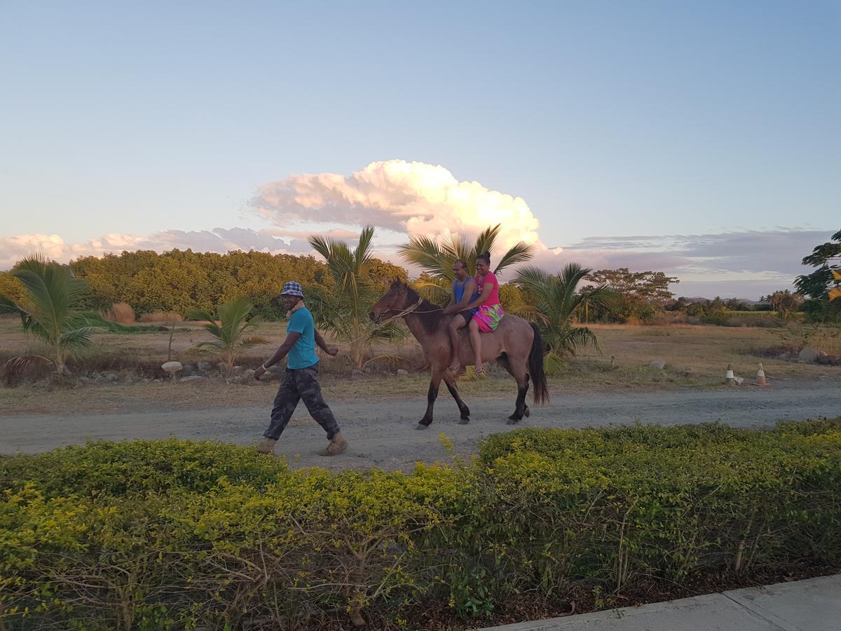 Bayview Cove Resort Nadi Dış mekan fotoğraf
